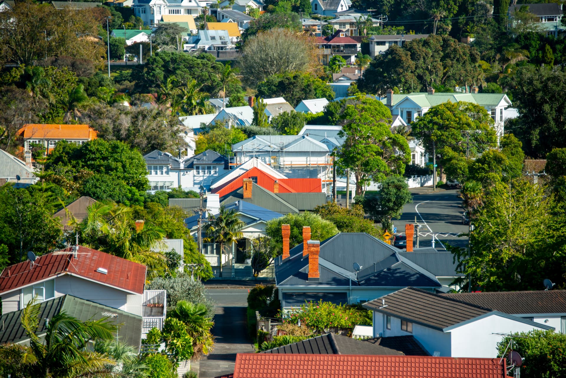 Established New Zealand neighbourhood with tree-lined streets