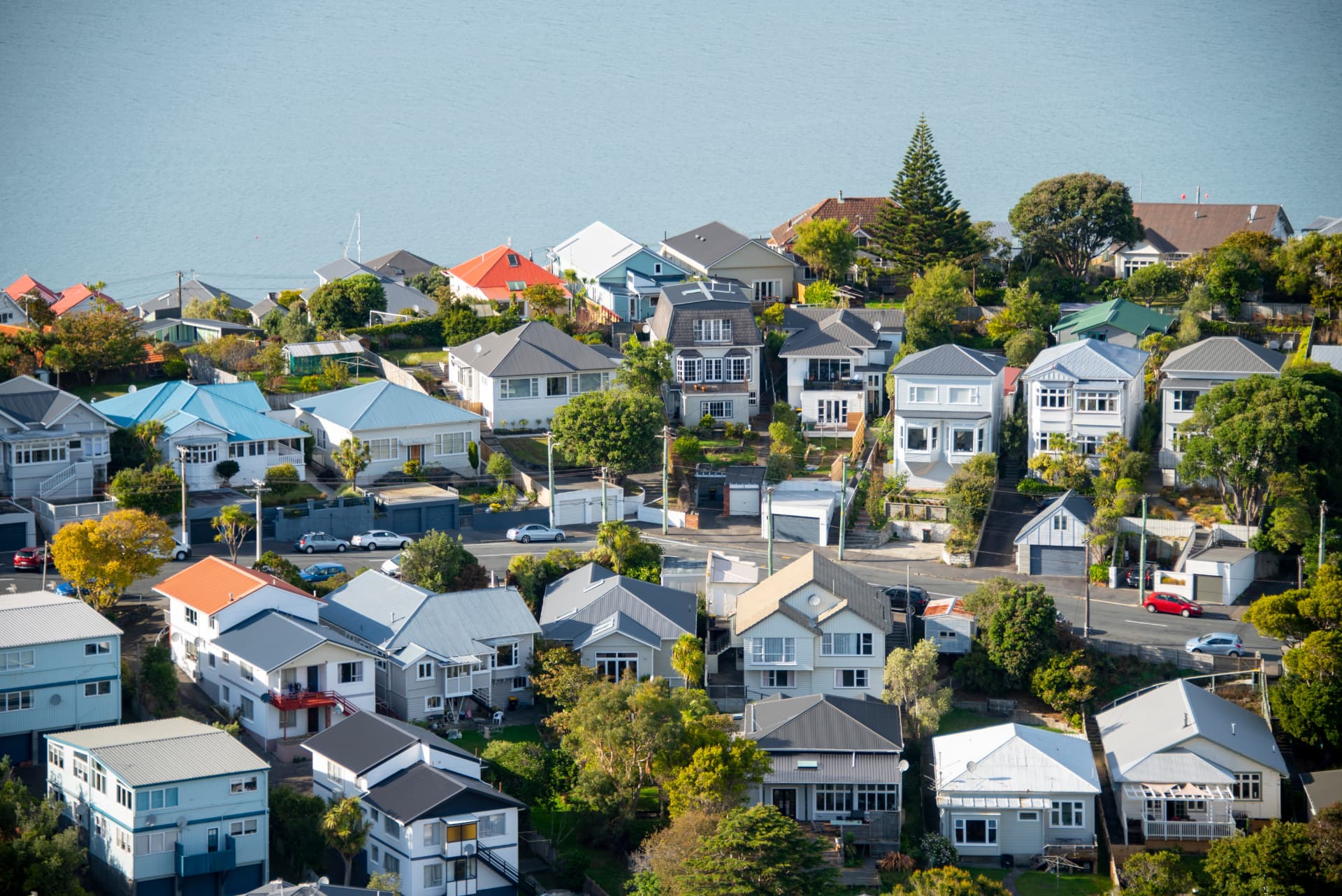 Hillside New Zealand homes overlooking the water