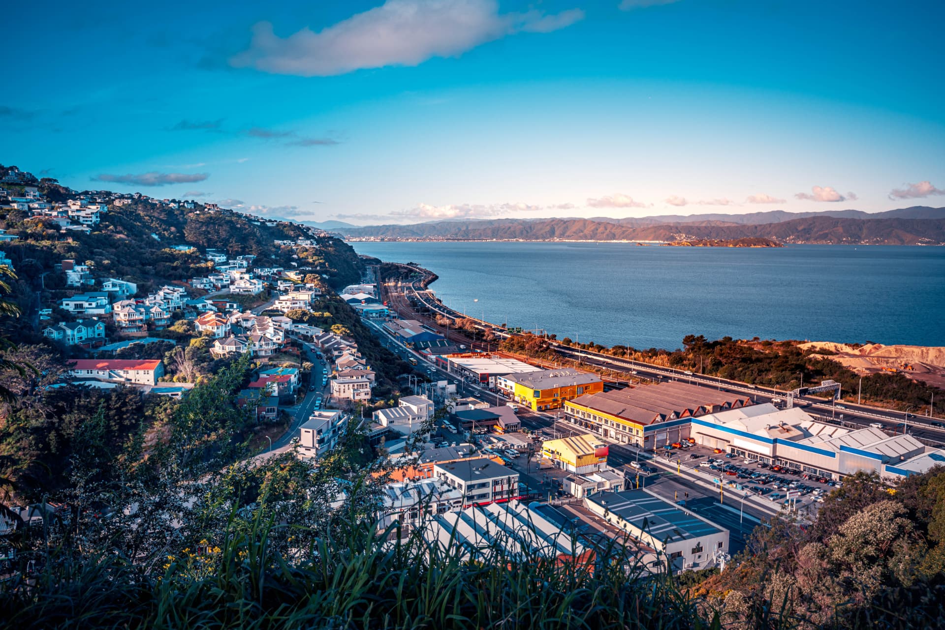 New Zealand city and harbour viewed from above