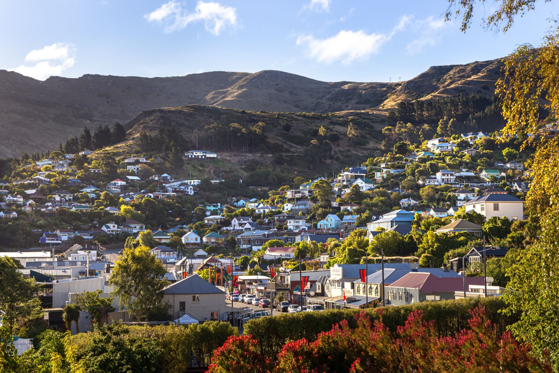 New Zealand hillside neighbourhood and local market area